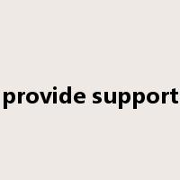 provide support是什么意思