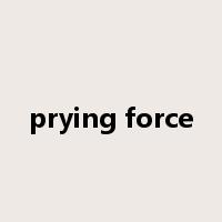 prying force是什么意思