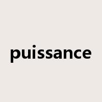 puissance是什么意思