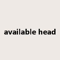 available head是什么意思