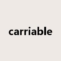 carriable是什么意思