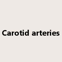 Carotid arteries是什么意思