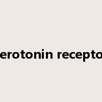 serotonin receptor是什么意思