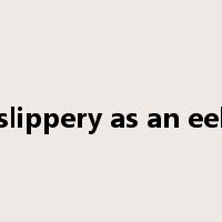 slippery as an eel是什么意思