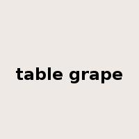 table grape是什么意思