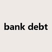 bank debt是什么意思