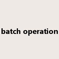batch operation是什么意思