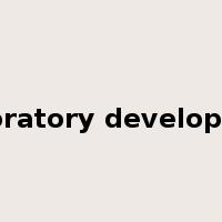 exploratory development是什么意思