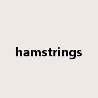 hamstrings是什么意思