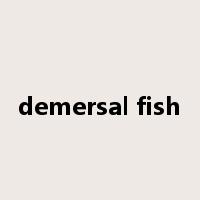 demersal fish是什么意思
