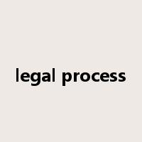 legal process是什么意思