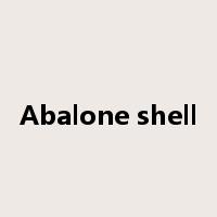 Abalone shell是什么意思