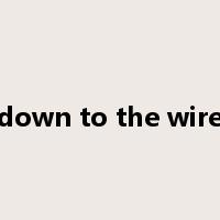 down to the wire是什么意思