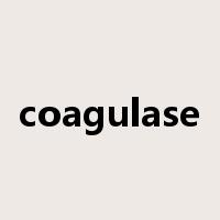 coagulase是什么意思