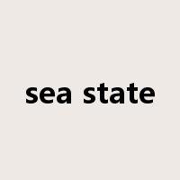 sea state是什么意思