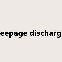 seepage discharge是什么意思