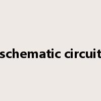 schematic circuit是什么意思