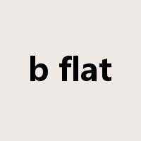 b flat是什么意思