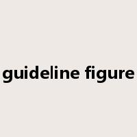 guideline figure是什么意思