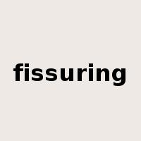 fissuring是什么意思