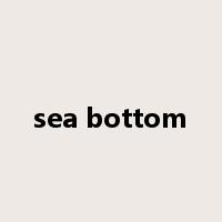 sea bottom是什么意思
