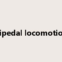 bipedal locomotion是什么意思