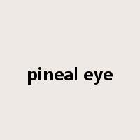 pineal eye是什么意思