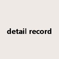 detail record是什么意思