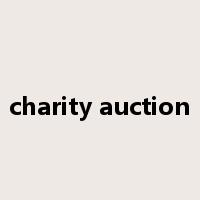charity auction是什么意思