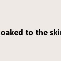 Soaked to the skin是什么意思