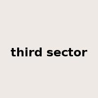 third sector是什么意思