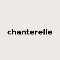 chanterelle是什么意思