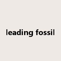leading fossil是什么意思
