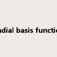 Radial basis function是什么意思