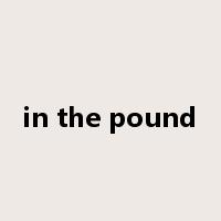 in the pound是什么意思