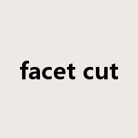 facet cut是什么意思