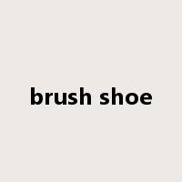 brush shoe是什么意思