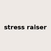 stress raiser是什么意思