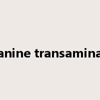 Alanine transaminase是什么意思