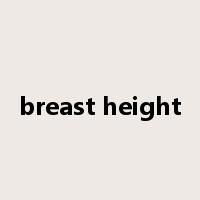breast height是什么意思