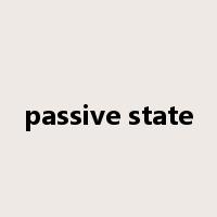 passive state是什么意思
