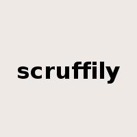 scruffily是什么意思