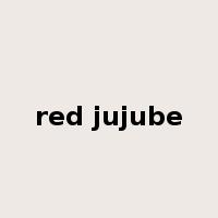 red jujube是什么意思