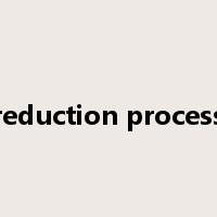 reduction process是什么意思