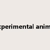 experimental animal是什么意思