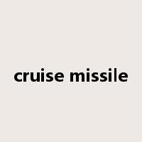 cruise missile是什么意思