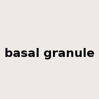 basal granule是什么意思