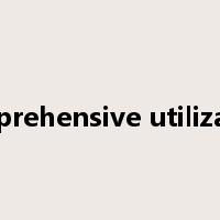 comprehensive utilization是什么意思