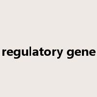 regulatory gene是什么意思