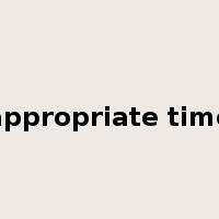 appropriate time是什么意思